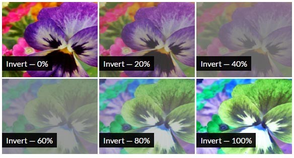 CSS Invert Filter Effect