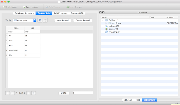 DB Browser for SQLite Browse Data tab