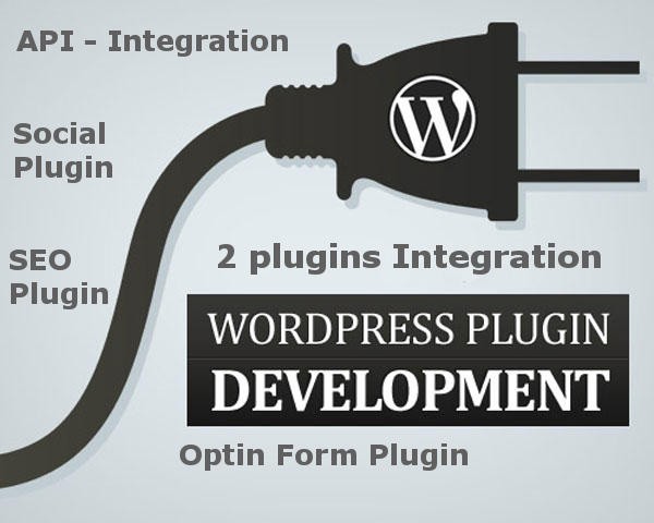 Custom WordPress Plugin Development