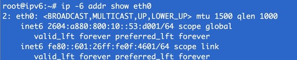 Results of ip -6 address show