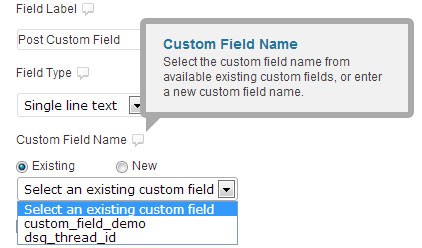 custom-field