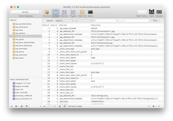 WordPress Post Meta Data