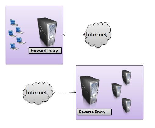 Figure 6 Forward and reverse proxies