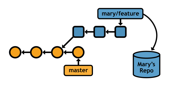 Figure 34: Accessing a feature branch from a remote repository