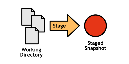 Figure 3: The working directory and the staging area