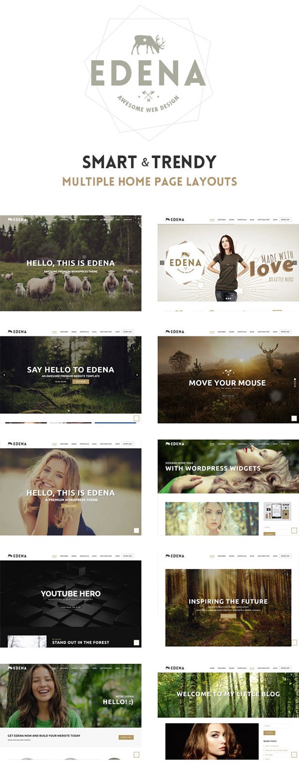 Edena New WordPress Theme 2016