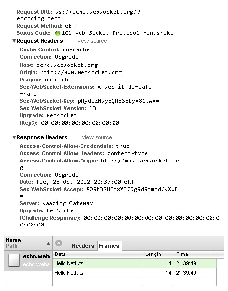 Viewing websockets in the network panel