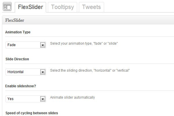 Options Framework jQuery Settings