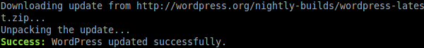 `wp core update` output