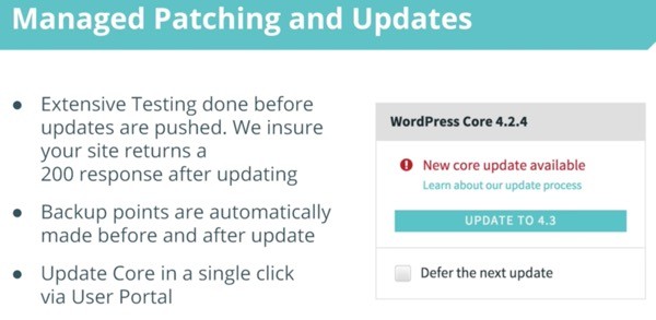 WP Engine Managed Updates