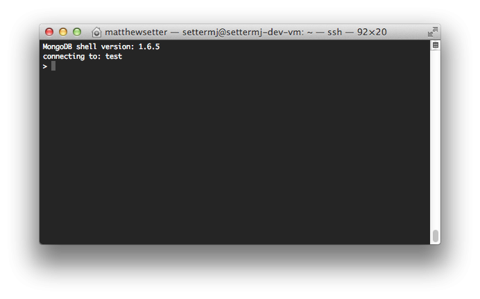 The MongoDb shell