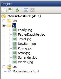 Placing images into lib folder in project.