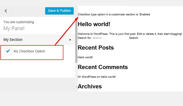 Previewing the checkbox in the Customizer