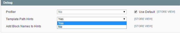 Enabling Template Path Hints