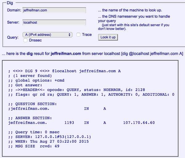 Kloth DNS Lookup of an A Record